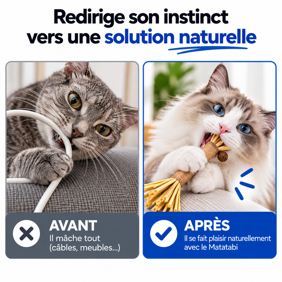 Pawsial™ — Pack Sticks Dentaires Naturel pour Chats