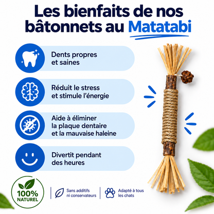 Pawsial™ — Pack Sticks Dentaires Naturel pour Chats