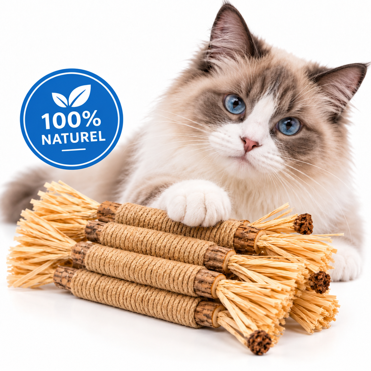 Pawsial™ — Pack Sticks Dentaires Naturel pour Chats