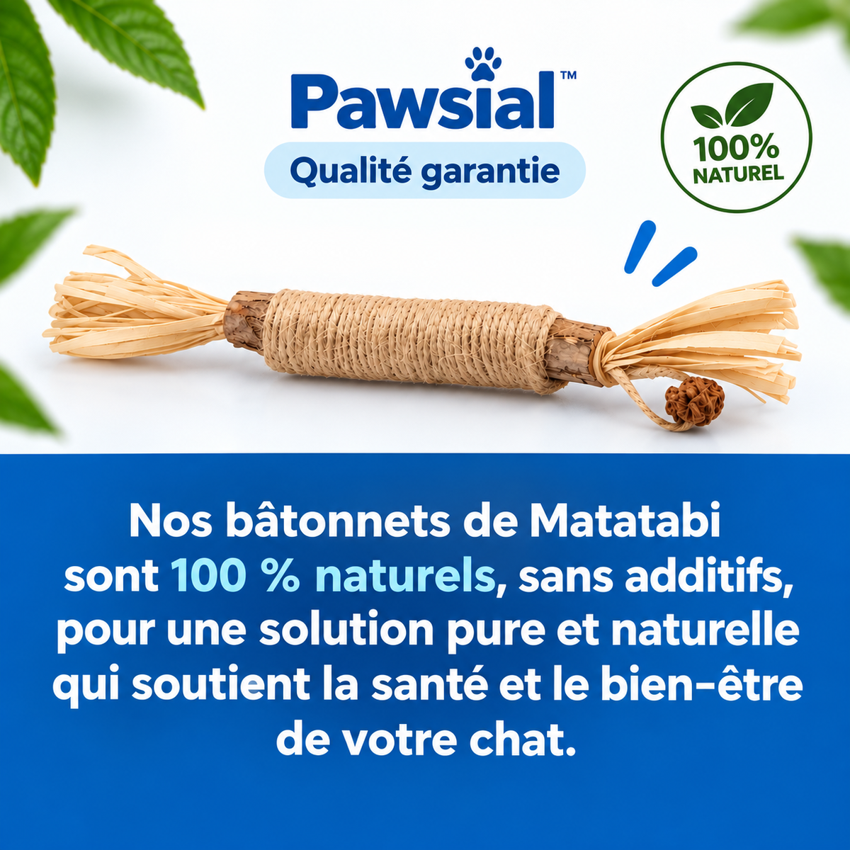 Pawsial™ — Pack Sticks Dentaires Naturel pour Chats