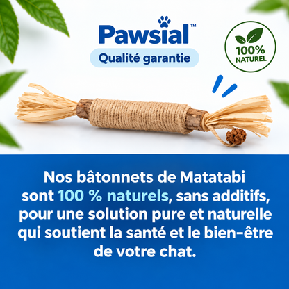 Pawsial™ — Pack Sticks Dentaires Naturel pour Chats