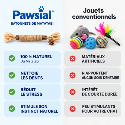 Pawsial™ — Pack Sticks Dentaires Naturel pour Chats