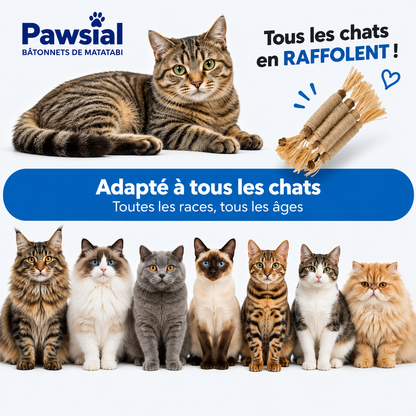 Pawsial™ — Pack Sticks Dentaires Naturel pour Chats