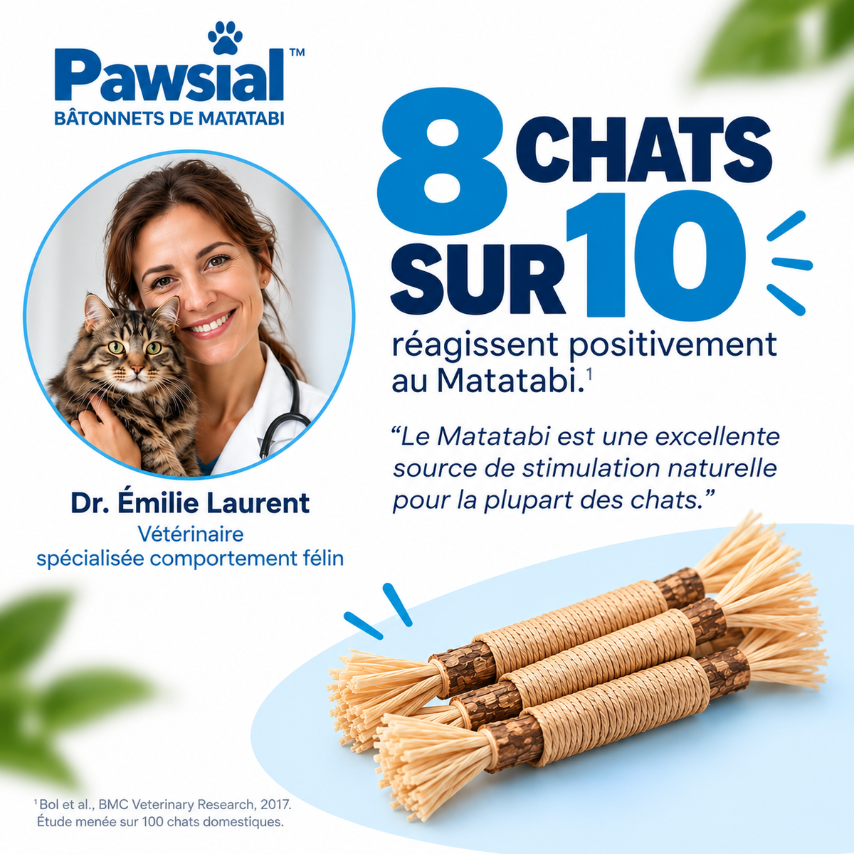 Pawsial™ — Pack Sticks Dentaires Naturel pour Chats