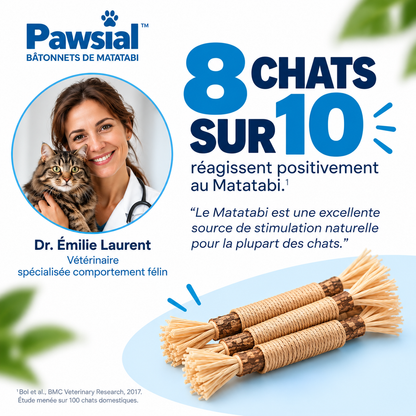 Pawsial™ — Pack Sticks Dentaires Naturel pour Chats