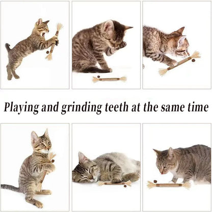 Pawsial™ — Pack de Bâtonnets en Bois Naturel pour Chats