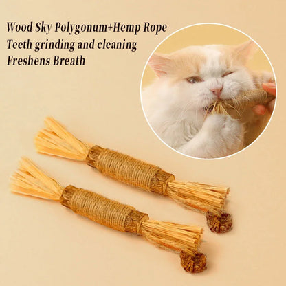 Pawsial™ — Pack de Bâtonnets en Bois Naturel pour Chats