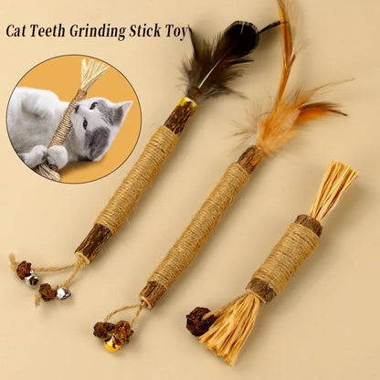 Pawsial™ — Pack de Bâtonnets en Bois Naturel pour Chats
