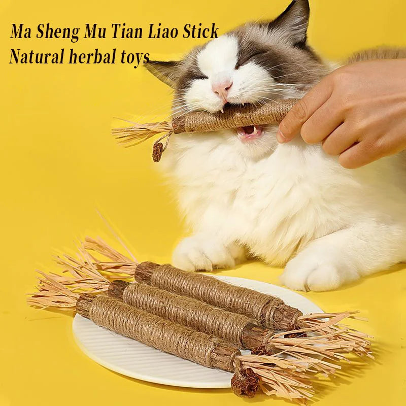 Pawsial™ — Pack de Bâtonnets en Bois Naturel pour Chats
