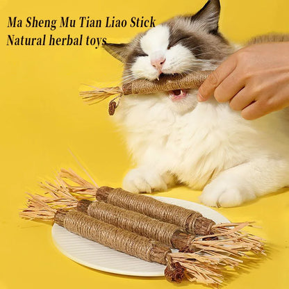 Pawsial™ — Pack de Bâtonnets en Bois Naturel pour Chats