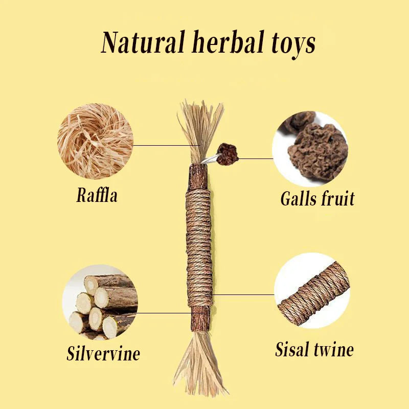 Pawsial™ — Pack de Bâtonnets en Bois Naturel pour Chats
