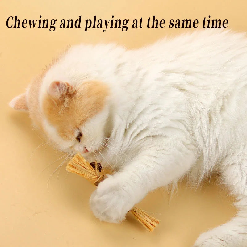 Pawsial™ — Pack de Bâtonnets en Bois Naturel pour Chats
